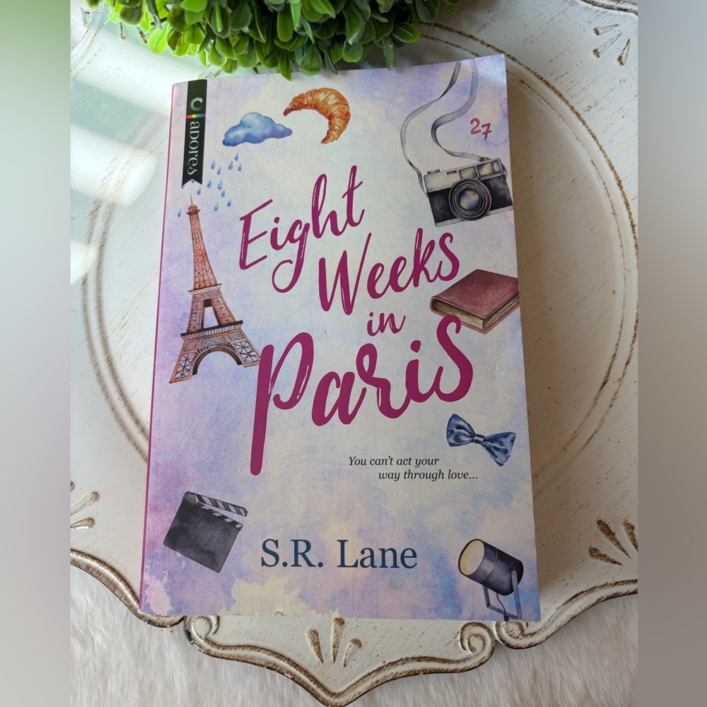 Eight Weeks in Paris Book by S R Lane